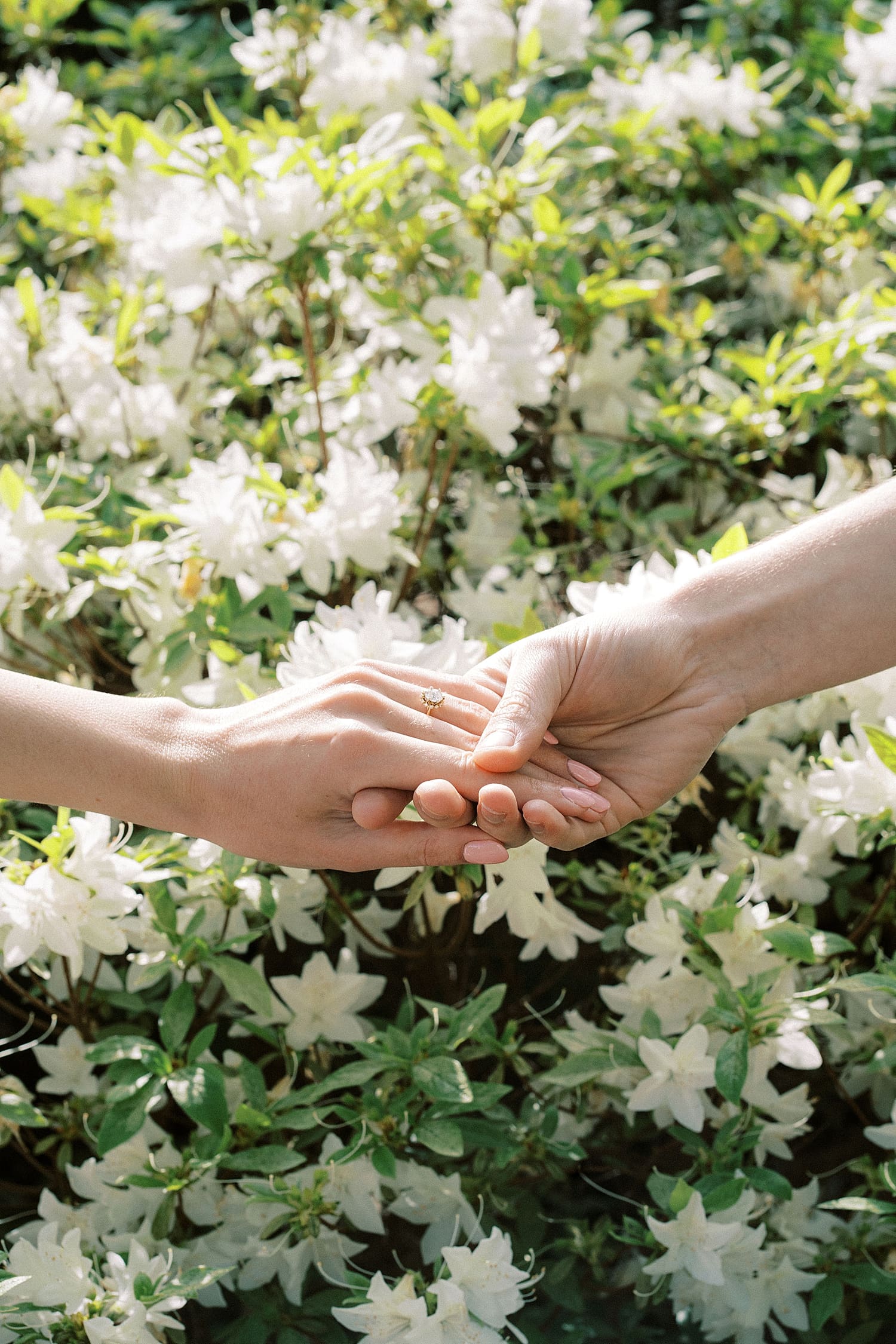couple holds hands in front of white flower by Camille Meers Photography 