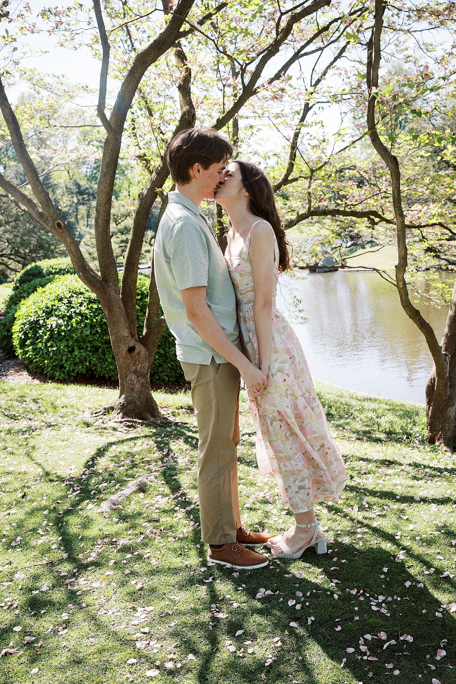 engaged couple kiss under cherry blossoms for wandering session