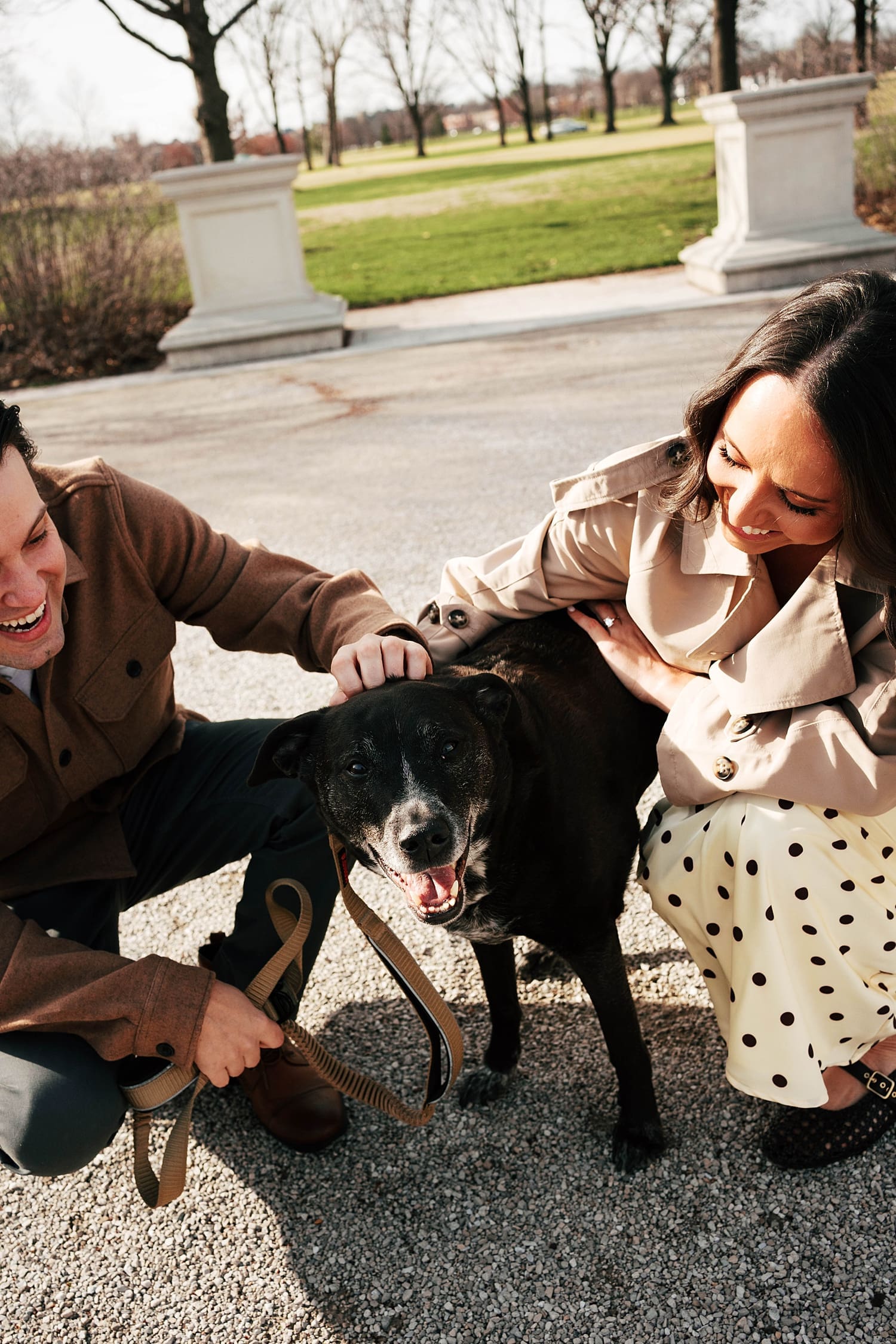 man and woman kneel next to their black dog by St. Louis wedding photographer