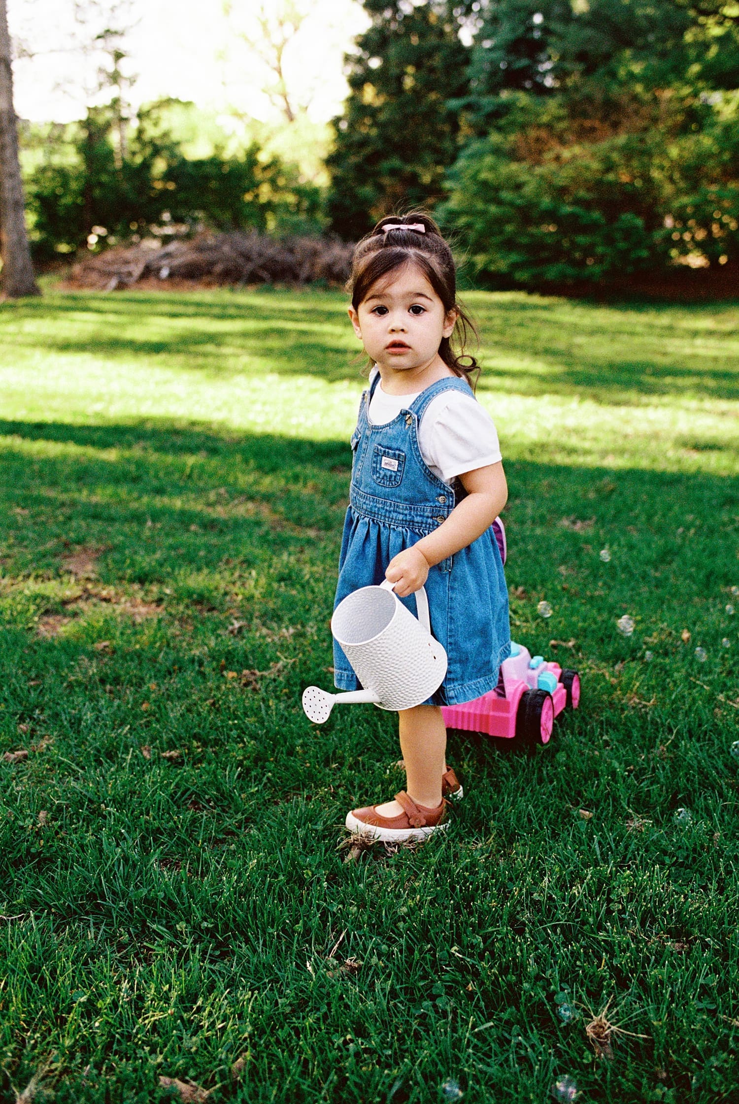 two year old girl with fake lawn mower in grass by St. Louis family photographer